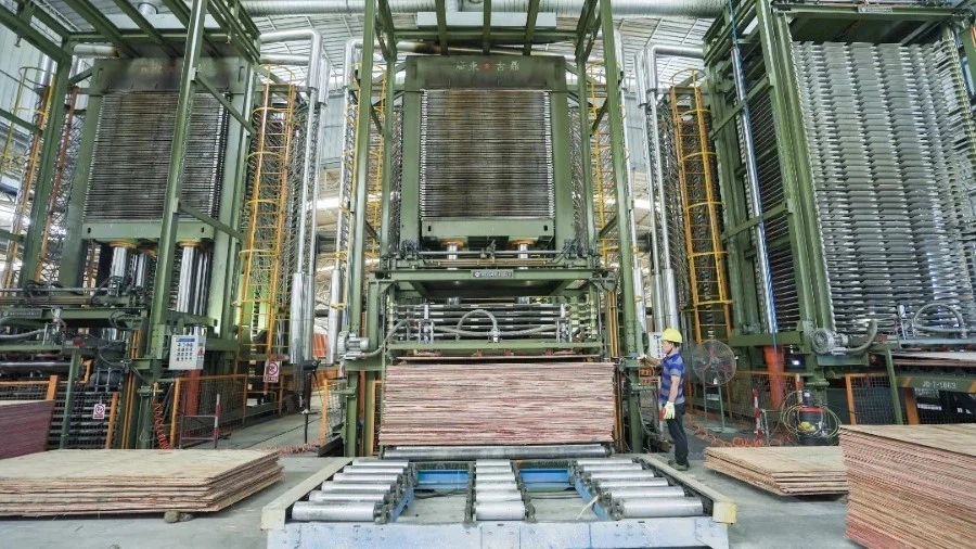 202412161022391 202412161022391